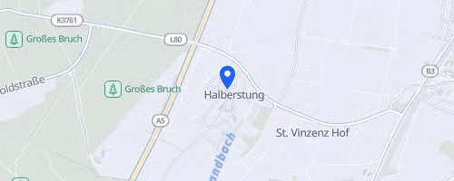 1. Halbmarathon Rhinschnooge Elite Lahr