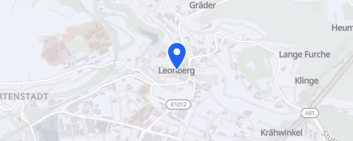 16. Citylauf Leonberg