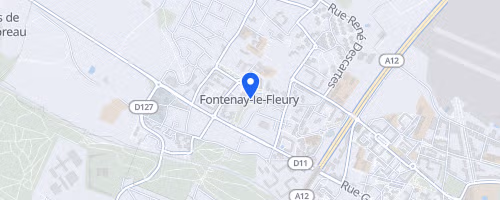 La course royale - Fontenay-le-Fleury