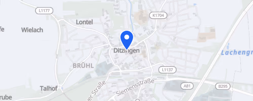 2. Ditzinger Keltenlauf