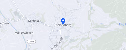 39. Steinenberger Waldlauf