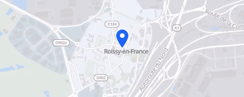 Ekiden de Roissy Pays de France