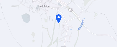 Běh s holubicí