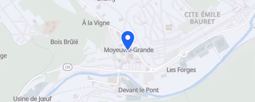 La forestière - Moyeuvre-Grande