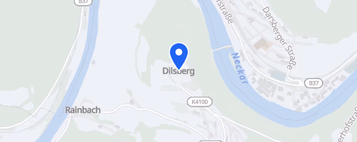3. Neckarlauf 7. Etappe Neckargemünd-Dilsberg - Mannheim-Sandhofen