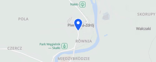 Festiwal Biegowy Nocny Nordic Walking