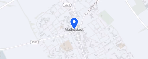 engelhorn Brooks Laufcup Mutterstadter Volkslauf