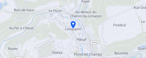 Foulées Longuyonnaises