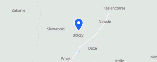 Bieg na 5 Km Festiwal Biegow 2025