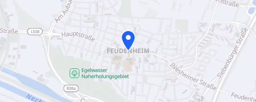 35. Herbstlauf der DJK Feudenheim