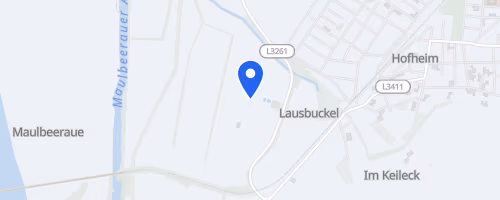 39. Hofheimer Volkslauf