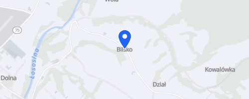 Łososiński Festiwal Biegowy 10km