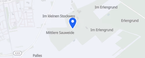 Fischerfestlauf Gernsheim