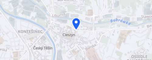 Cieszynski Fortuna Bieg Cieszyn