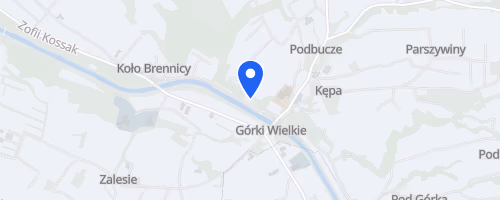Bieg na Bucze