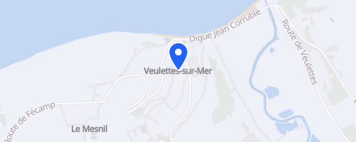Run For Emily - Veulettes Sur Mer