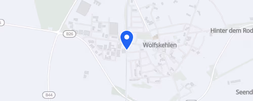 41. Straßenlauf