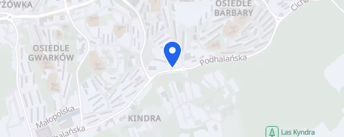 Kobiety na 5 Jastrzebski Bieg Kobiet