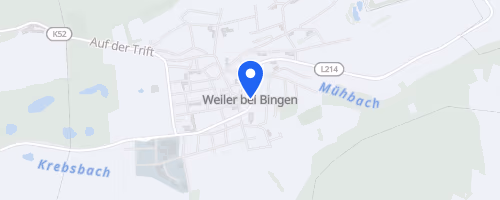 8. Charity Mega Run Bingen