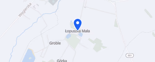 Kryterium Biegowe Łopuszki Małej