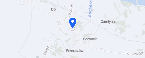 Bieg Przeciszowski