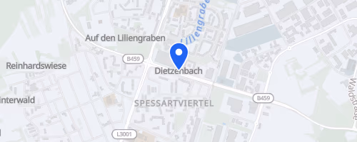 Lions - Dietzenbacher Stadtlauf 2026