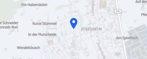 46. Winterlaufserie Rodgau Jügesheim (2)