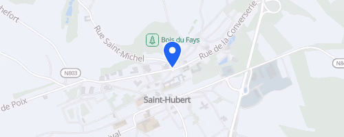 Le Trail des Cerfs - Saint-Hubert
