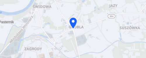 Bieg w pogoni za żubrem