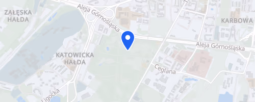 Bieg dla Aniolow VI Charytatywny Bieg z Okazji Dnia Dziecka