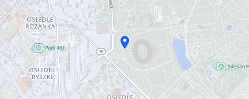 Śląski Maraton Noworoczny