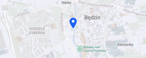III Bedzinski Polmaraton Niepodleglosci