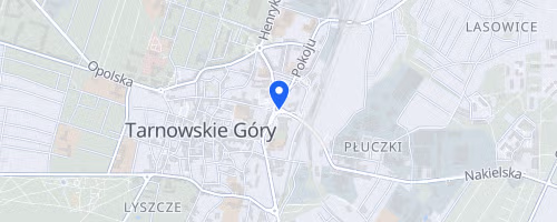 Pko Tarnogorski Polmaraton