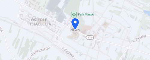 BIEG Nisko na Piątkę i Nordic Walking 5 km