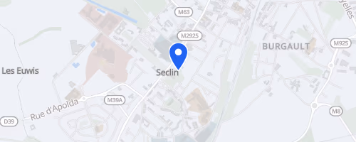 Les foulées collégiales - Seclin
