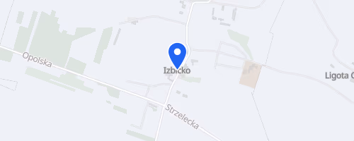 Izbicki Bieg Charytatywny