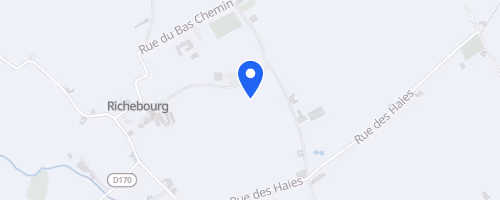 La Tête de Sanglier - Richebourg