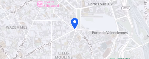 Les foulées de Miles - Lille
