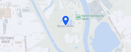 Charytatywny Bieg Z Żonkilem