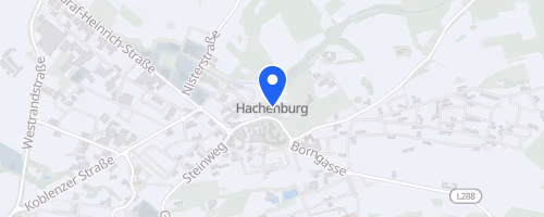40. Hachenburger Löwenlauf
