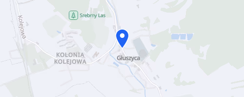 Sfbg Sudecki Festiwal Biegow Gorskich