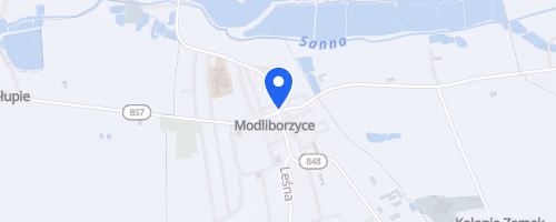 IX Charytatywny Bieg Mikolajkowy
