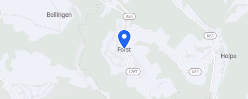 Forster Rosen-Pokal-Lauf