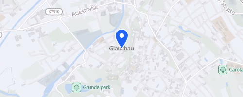 39. Glauchauer Herbstlauf