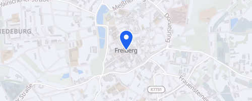 14. Freiberger Bürgerfestlauf