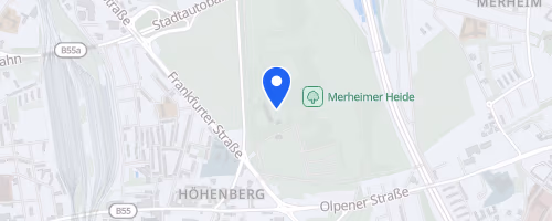 50. Kölner Silvesterlauf
