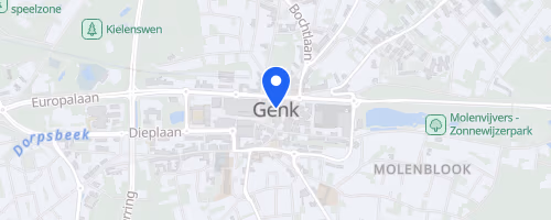 EnergyVision Genk Loopt!