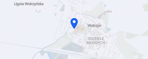 Bieg o Puchar Burmistrza Wołczyna