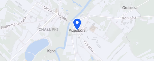 Bieg Przedborska 10
