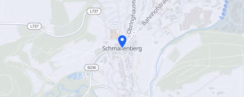 Fleckenberger Herbstlauf